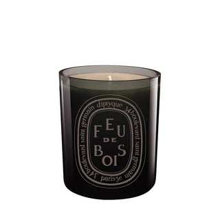 Diptyque Feu de Bois / Gray - Scented Candle