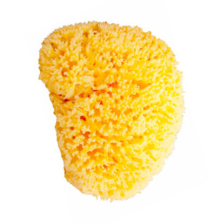 jcApotecari Collection - Esponja Natural Premium