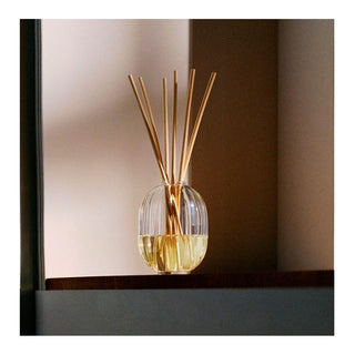 Diptyque 34 Mikado Home Diffuser - Difusor de fragancia