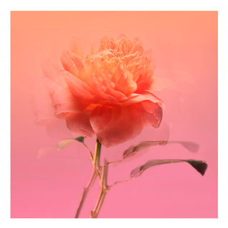 BDK Parfums Impadia - Perfume