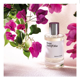 Maison Crivelli Rose Saltifolia - Perfume