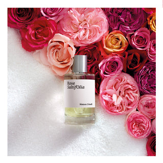Maison Crivelli Rose Saltifolia - Perfume