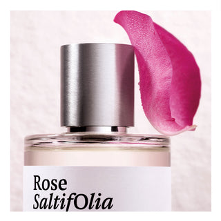 Maison Crivelli Rose Saltifolia - Perfume