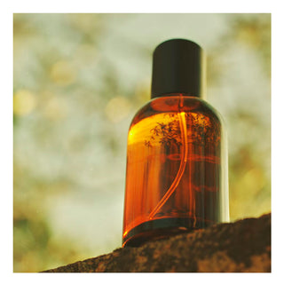 Aesop Virere - Perfume