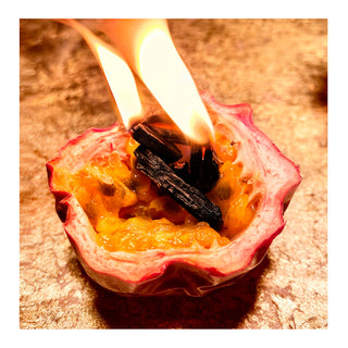 Maison Crivelli Oud Maracujá Extrait - Perfume Extract
