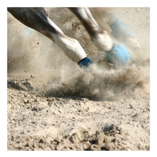 Maison Crivelli Oud Stallion  - Extracto de perfume