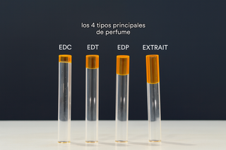Diccionario de Perfumería: concentraciones, acordes y términos que todo amante del perfume debería conocer
