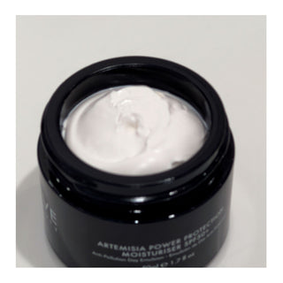 Twelve Beauty Artemisia Power Protection Moisturiser SPF 50+ - Day cream with sun protection