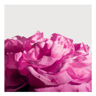 Màtiere Première Radical Rose Extract - Extracto de perfume