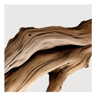 Màtiere Première Santal Austral Extract - Extracto de perfume