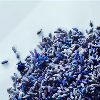 Matiere Premiere Metal Lavender - Eau de parfum