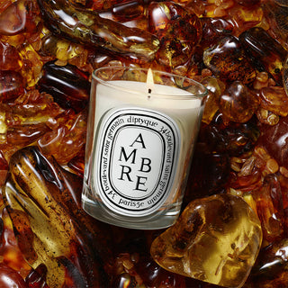 Diptyque Ambre - Scented Candle