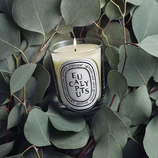 Diptyque Eucalyptus - Vela Perfumada
