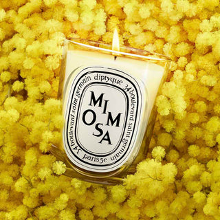 Diptyque Mimosa - Vela perfumada