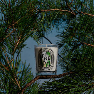 Diptyque Pinede - vela perfumada