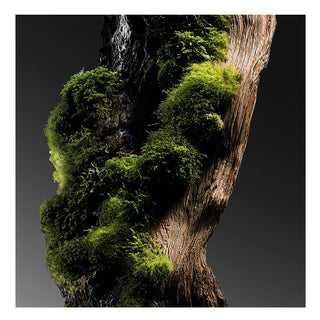 Kilian Her Majesty - Eau de parfum